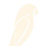 oiseaux_cage