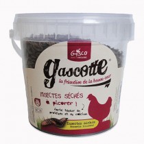INSECTES SECHES GASCOTTE