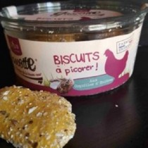 biscuits coquille huitres 2