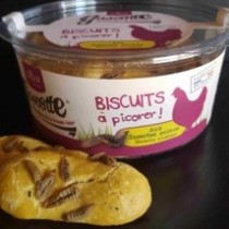 biscuits insectes